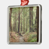 Noord-Amerika, VS, Californië, Big Sur, 3 Metalen Ornament (Links)