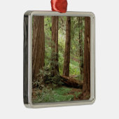 Noord-Amerika, VS, Californië, Big Sur, Metalen Ornament (Rechts)