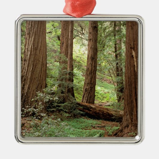 Noord-Amerika, VS, Californië, Big Sur, Metalen Ornament (Voorkant)