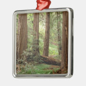 Noord-Amerika, VS, Californië, Big Sur, Metalen Ornament (Links)