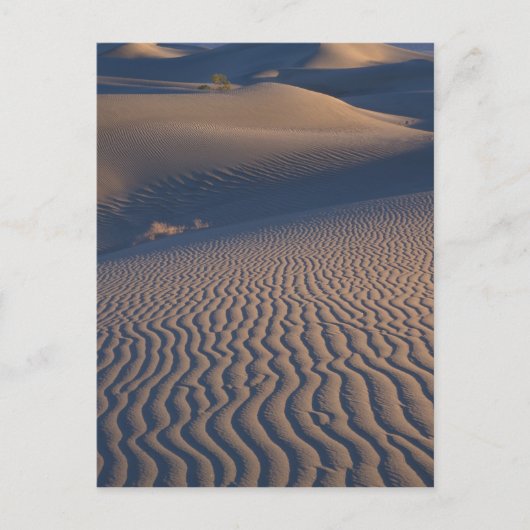 Noord-Amerika, VS, Californië, Death Valley Briefkaart (Voorkant)