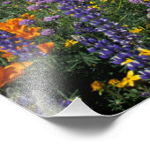 Noord-Amerika, VS, Californië, Los Angeles 2 Foto Afdruk (Hoek)