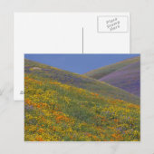 Noord-Amerika, VS, Californië, Los Angeles Briefkaart (Voorkant / Achterkant)