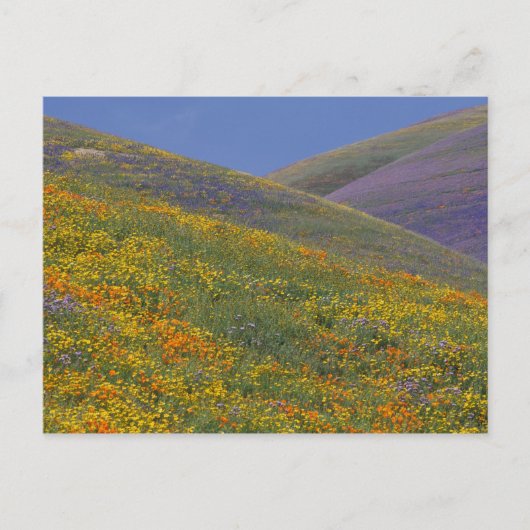 Noord-Amerika, VS, Californië, Los Angeles Briefkaart (Voorkant)