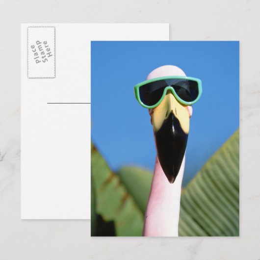 Noord-Amerika, VS, Californië, San Diego. Zee Briefkaart (Voorkant / Achterkant)