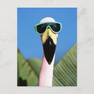 Noord-Amerika, VS, Californië, San Diego. Zee Briefkaart