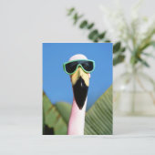 Noord-Amerika, VS, Californië, San Diego. Zee Briefkaart (Staand voorkant)