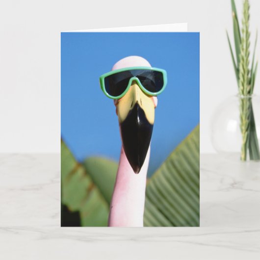 Noord-Amerika, VS, Californië, San Diego.Zee Kaart (Voorkant)