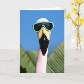 Noord-Amerika, VS, Californië, San Diego.Zee Kaart (Gele Bloem)