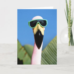 Noord-Amerika, VS, Californië, San Diego.Zee Kaart