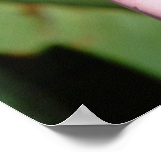 Noord-Amerika, VS, Californië, San Diego. Zee Poster (Hoek)