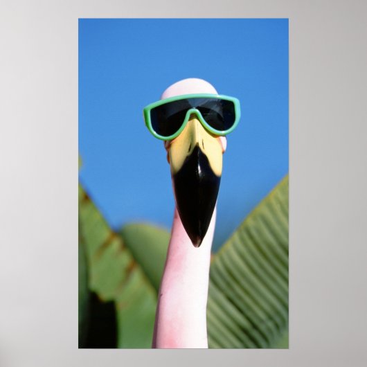 Noord-Amerika, VS, Californië, San Diego. Zee Poster (Voorkant)