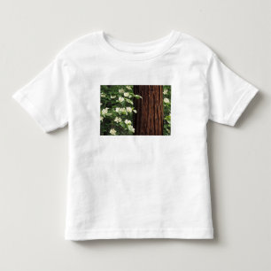 Noord-Amerika, VS, Californië, Yosemite 3 Kinder Shirts