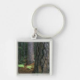 Noord-Amerika, VS, Californië, Yosemite Sleutelhanger