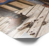 Noord-Amerika, VS. Cowboys relaxing and Foto Afdruk (Hoek)