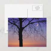 Noord-Amerika, VS, Florida, Mt. Dora, de Briefkaart (Voorkant / Achterkant)