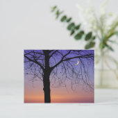 Noord-Amerika, VS, Florida, Mt. Dora, de Briefkaart (Staand voorkant)