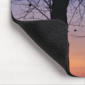 Noord-Amerika, VS, Florida, Mt. Dora, de Muismat (Hoek)