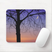 Noord-Amerika, VS, Florida, Mt. Dora, de Muismat (Met muis)