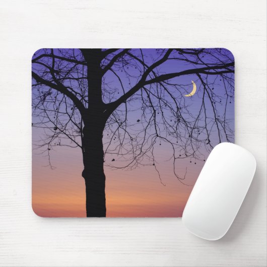 Noord-Amerika, VS, Florida, Mt. Dora, de Muismat (Met muis)