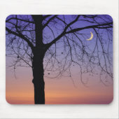 Noord-Amerika, VS, Florida, Mt. Dora, de Muismat (Voorkant)