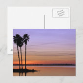 Noord-Amerika, VS, Florida, Mt. Dora, een trio Briefkaart (Voorkant / Achterkant)