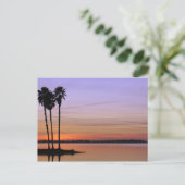 Noord-Amerika, VS, Florida, Mt. Dora, een trio Briefkaart (Staand voorkant)