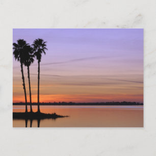 Noord-Amerika, VS, Florida, Mt. Dora, een trio Briefkaart