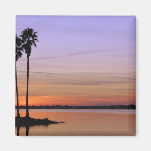 Noord-Amerika, VS, Florida, Mt. Dora, een trio Magneet