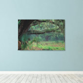 Noord-Amerika, VS, Georgia, Cumberland 2 Canvas Afdruk (Insitu (Houten vloer))