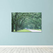 Noord-Amerika, VS, Georgia, Savannah, Canvas Afdruk (Insitu (Houten vloer))