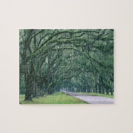 Noord-Amerika, VS, Georgia, Savannah, Legpuzzel (Horizontaal)