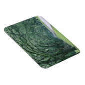 Noord-Amerika, VS, Georgia, Savannah, Magneet (Rechterzijde)