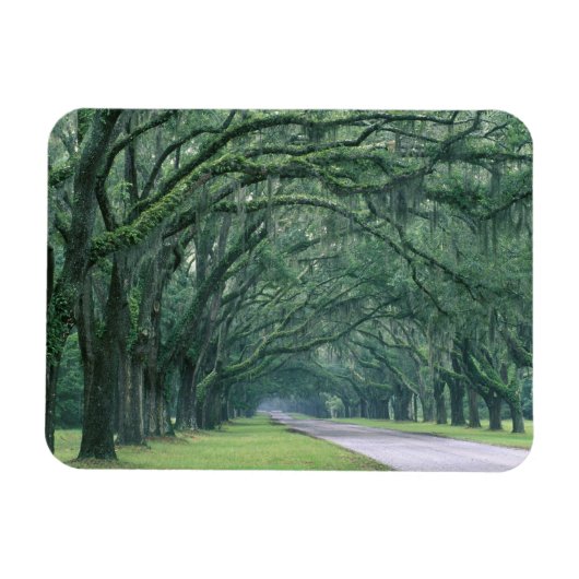 Noord-Amerika, VS, Georgia, Savannah, Magneet (Horizontaal)