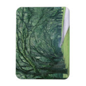 Noord-Amerika, VS, Georgia, Savannah, Magneet (Verticaal)