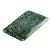 Noord-Amerika, VS, Georgia, Savannah, Magneet (Linkerzijde)