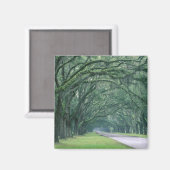 Noord-Amerika, VS, Georgia, Savannah, Magneet (Voorkant / Achterkant)