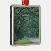 Noord-Amerika, VS, Georgia, Savannah, Metalen Ornament (Rechts)