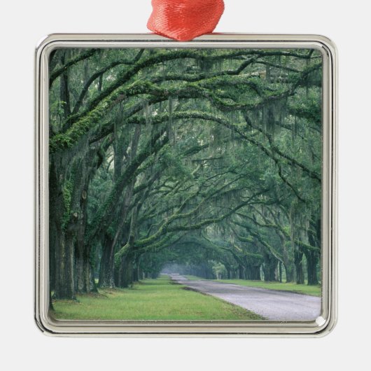 Noord-Amerika, VS, Georgia, Savannah, Metalen Ornament (Voorkant)