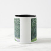 Noord-Amerika, VS, Georgia, Savannah, Mok (Midden)