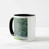 Noord-Amerika, VS, Georgia, Savannah, Mok (Voorkant links)