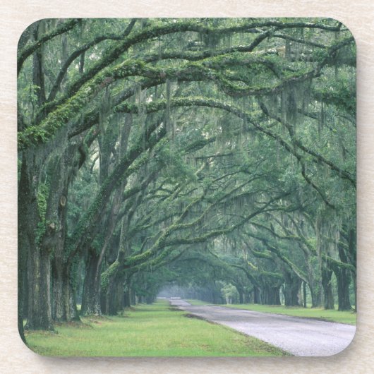 Noord-Amerika, VS, Georgia, Savannah, Onderzetter (Voorkant)