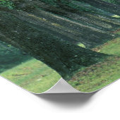 Noord-Amerika, VS, Georgia, Savannah, Poster (Hoek)