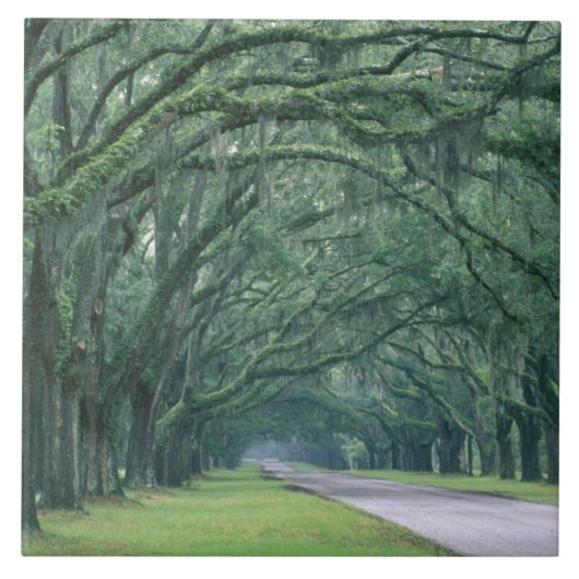 Noord-Amerika, VS, Georgia, Savannah, Tegeltje (Voorkant)