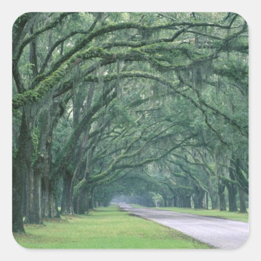 Noord-Amerika, VS, Georgia, Savannah, Vierkante Sticker (Voorkant)