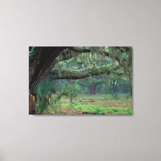 Noord-Amerika, VS, Georgië, Cumberland 2 Canvas Afdruk (Voorkant)