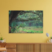 Noord-Amerika, VS, Georgië, Cumberland 2 Canvas Afdruk (Insitu (Woonkamer))