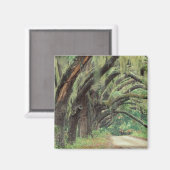 Noord-Amerika, VS, Georgië, Cumberland 2 Magneet (Voorkant / Achterkant)