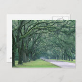 Noord-Amerika, VS, Georgië, Savannah Briefkaart (Voorkant / Achterkant)