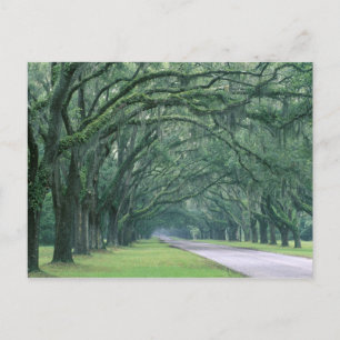 Noord-Amerika, VS, Georgië, Savannah Briefkaart